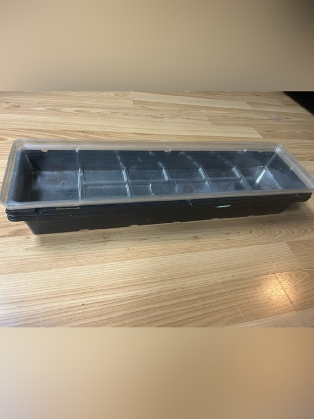 Black Plastic Seed Tray with Clear Lid